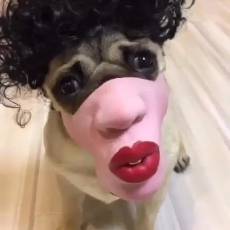 Funny Dog Face Mask