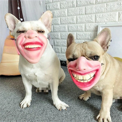 Funny Dog Face Mask